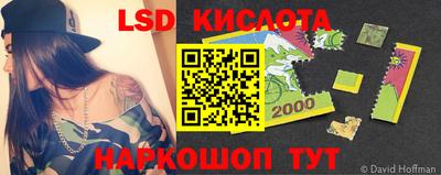 прущие крисы Гатчина