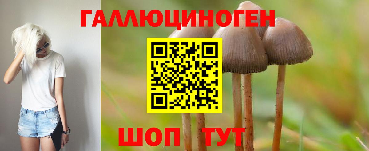 Галлюциногенные грибы MAGIC MUSHROOMS  Вход с VPN  Псилоцибиновые грибы мухоморы  Муравленко 